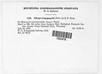 Image Associated With the Occurence